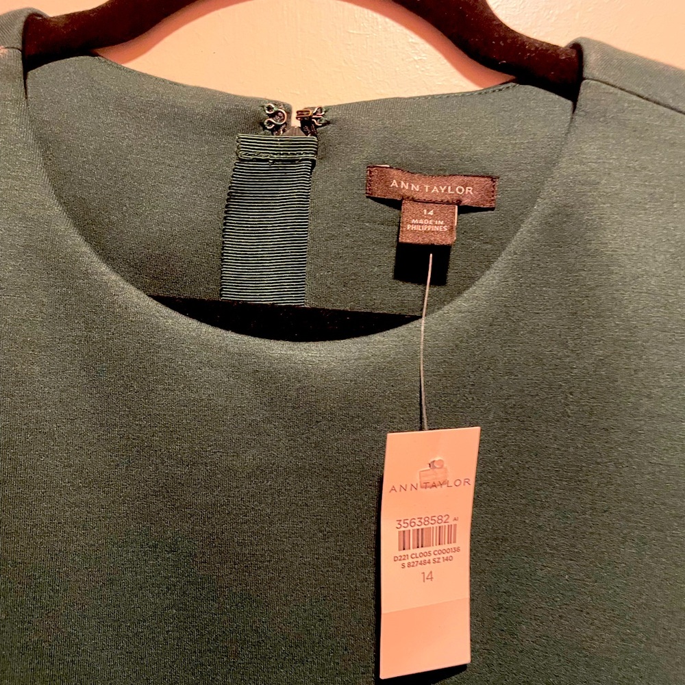 Ann Taylor dress size 14 Never worn